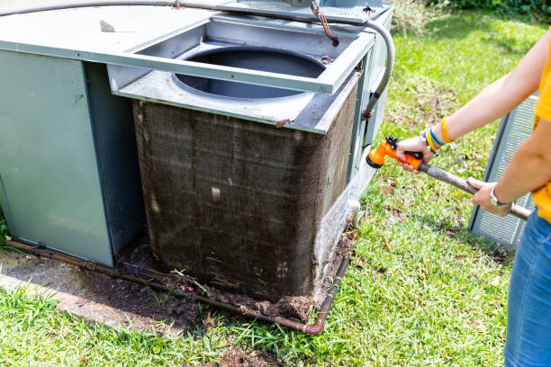 Best Air Duct Inspection  in St Charles, MI
