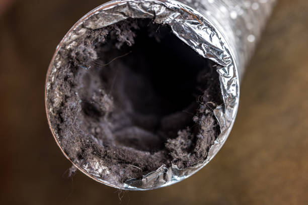 Best Air Duct Cleaning Near Me  in St Charles, MI
