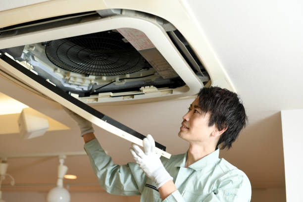 Best Affordable Duct Cleaning Services  in St Charles, MI