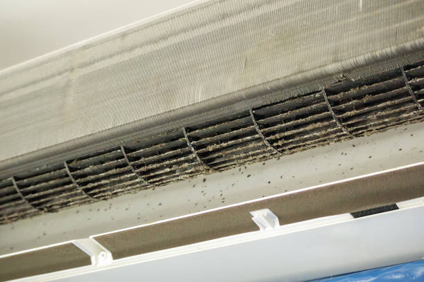 Best Home Air Vent Cleaning  in St Charles, MI