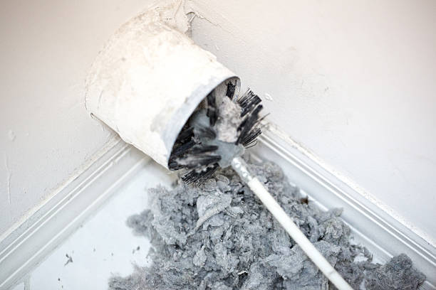 Best Commercial HVAC Duct Cleaning  in St Charles, MI