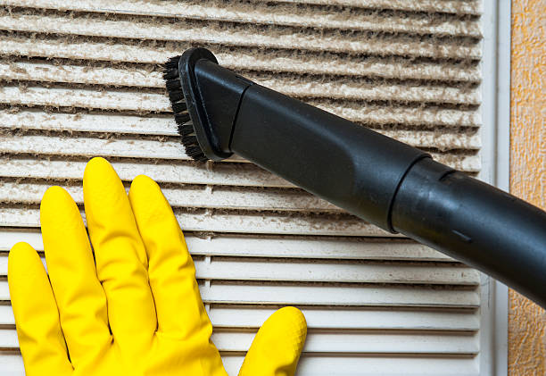Best Local Air Duct Cleaning Services  in St Charles, MI