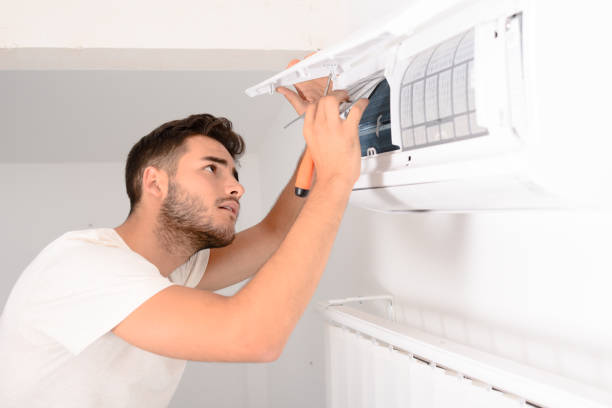 Best Duct Cleaning for Homes  in St Charles, MI