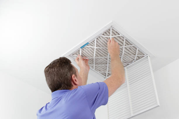 Best HVAC System Cleaning  in St Charles, MI